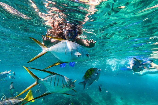Cabo San Lucas Shopping, Tequila Tasting, and Snorkel Tour - Final Thoughts