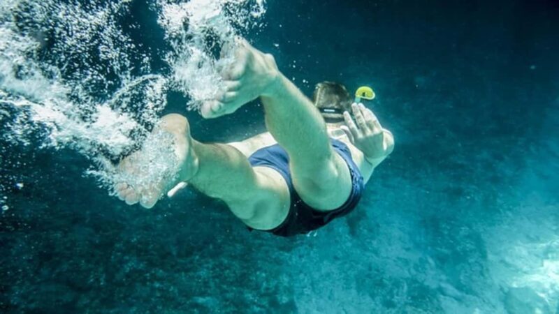 Cabo San Lucas: Snorkel Fun Cruise & Breakfast - The Sum Up