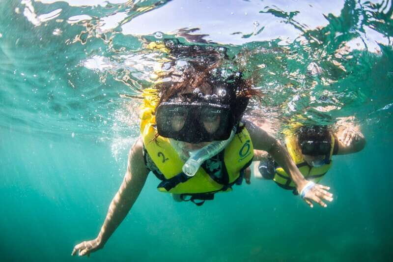 Cabo San Lucas: Snorkel, Lunch and Sail Experience - Key Points
