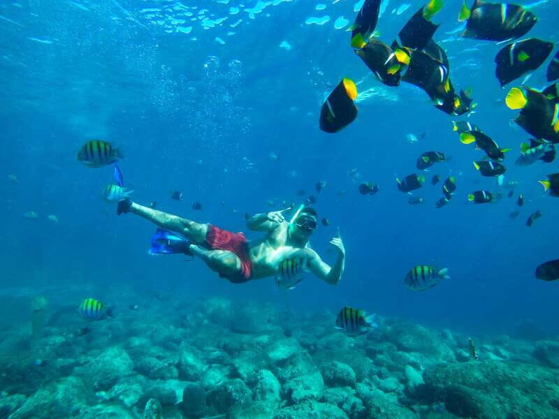 Cabo San Lucas: Snorkel Tour with Open Bar & Snacks - Final Thoughts