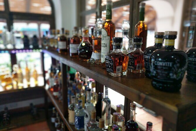 Cabo San Lucas Tequila Tasting Experience - Final Thoughts
