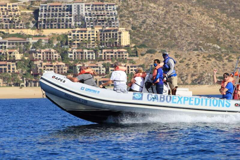 Cabo San Lucas: Up-Close Whale Watching Small-Group Tour - Authentic Encounters and Quality of Guides
