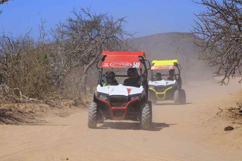 Cabo San Lucas: UTV Razor Tour of Migriño Desert and Beach - Authentic Experiences and Honest Feedback