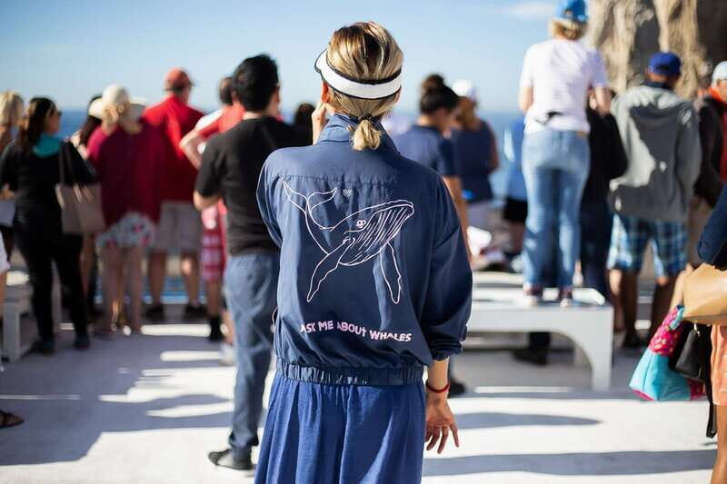 Cabo San Lucas: Whale Watching Breakfast Cruise - A Detailed Look at the Experience