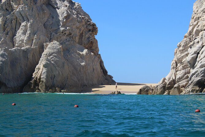 Cabo San Lucas Whale Watching Tour All Included - Final Thoughts