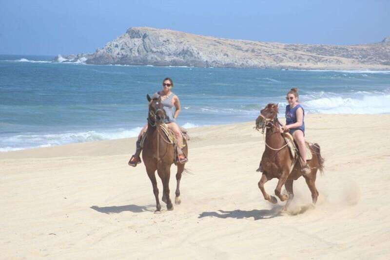 Cabo San Lucas: White Sand Horseback Adventure - Key Points