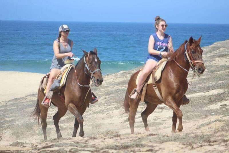 Cabo San Lucas: White Sand Horseback Adventure - An Honest Look at the White Sand Horseback Adventure