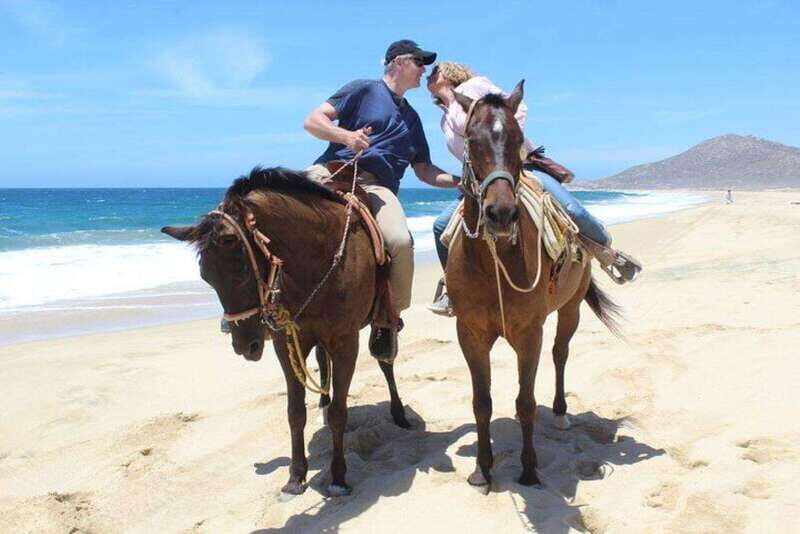 Cabo San Lucas: White Sand Horseback Adventure - Practical Tips for Your Booking