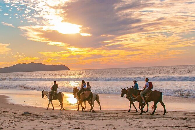 Cabo Shore Excursion: Beach Horseback Ride & Tequila Tasting - The Ride Through Desert and Beach