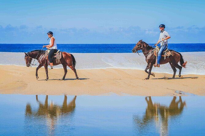 Cabo Shore Excursion: Beach Horseback Ride & Tequila Tasting - The Tequila Tasting and Optional Park Fee
