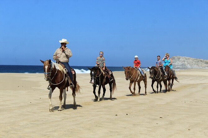 Cabo Shore Excursion: Beach Horseback Ride & Tequila Tasting - Transportation and Group Size