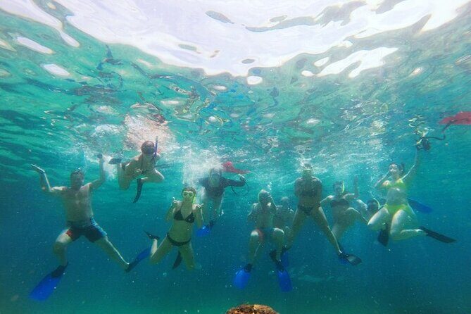 Cabo Snorkeling and Sailboat Tour with Lunch and Open Bar - Authentic Experiences and Guest Feedback
