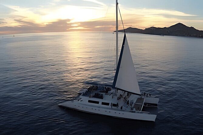 Cabo Sunset Catamaran Cruise: El Arco & Open Bar Experience - Introduction
