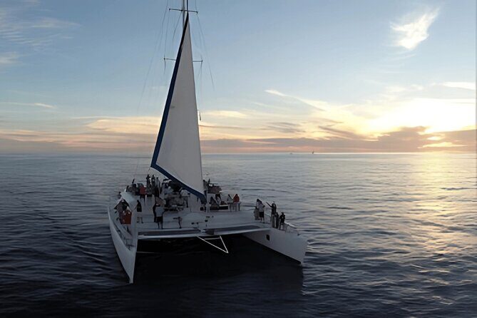 Cabo Sunset Catamaran Cruise: El Arco & Open Bar Experience - The Sum Up