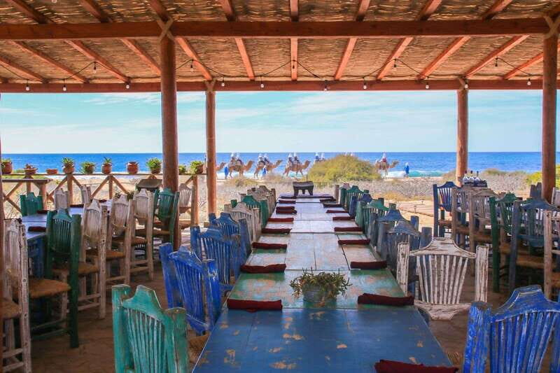 Cabo: Todo Santos Tour with Camel Ranch, Tequila and Lunch - Key Points