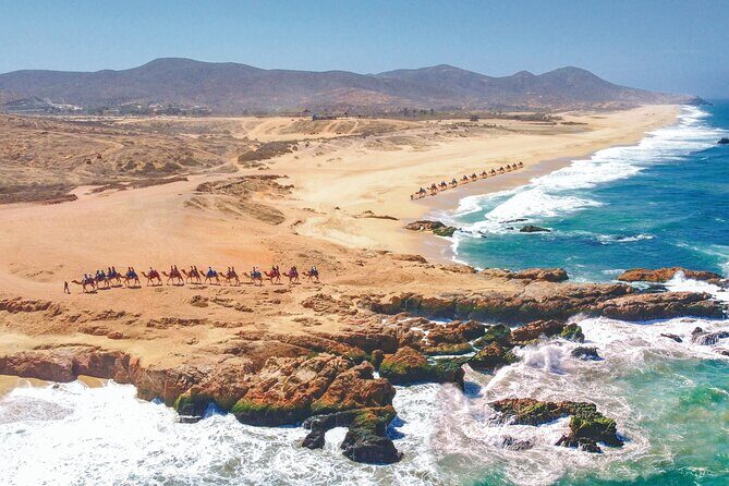 Cabo UTV and Camel Ride Combo - Discovering Baja: What to Expect from the Tour