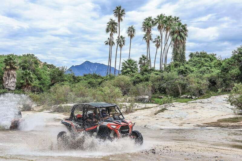 Cabo: UTV Off-Roading, Mexican Lunch, and Tequila - Why This Tour Is a Solid Choice