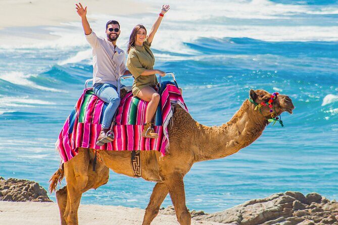 Cabo UTV Tour Free Camel Sky Bike - An In-Depth Look at the Cabo UTV Tour