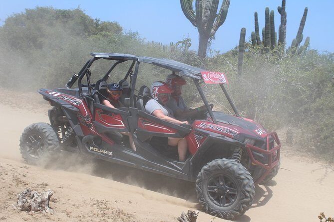 Cabo Wild Desert Tour, Polaris ATV or Razor Single, Double, Triple or Quad! - Frequently Asked Questions