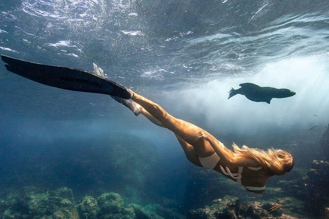 Cabo Wildlife SAFARI - What to Expect on the Tour