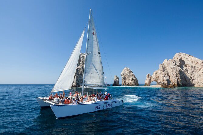 Cabo's Premier Catamaran Snorkeling: Explore the Waters! - Key Points