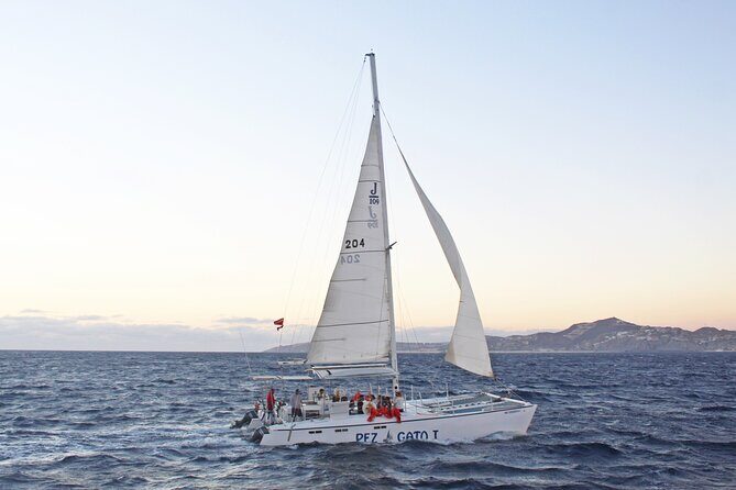 Cabo's Premier Catamaran Snorkeling: Explore the Waters! - What Travelers Say