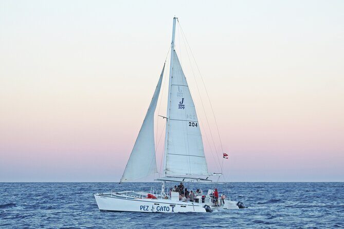 Cabo's Premier Catamaran Snorkeling: Explore the Waters! - The Sum Up: Is It Worth It?