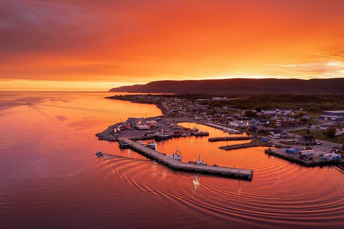 Cabot Trail Bus Tour for Cruise Excursion - The Sum Up: Is This Tour Worth It?