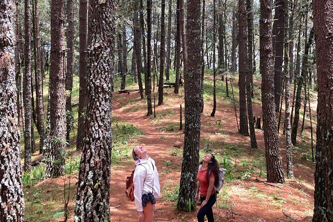 Cacao day experience from the wood to your cup! - The Experience: Authenticity Meets Adventure
