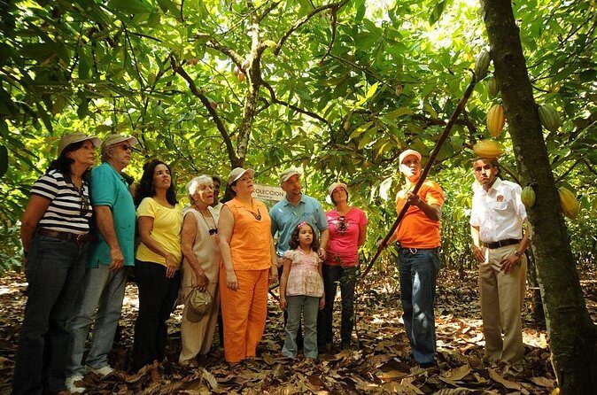 Cacao Plantation and Chocolate Factory Tour- Chocolate Lovers - FAQs
