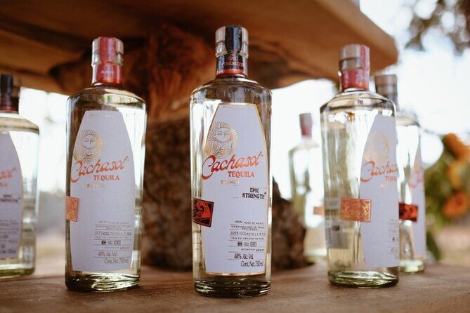 Cachasol Raicilla and Tequila Tour - Authentic, Family-Friendly, and Fun: Who Will Love It?