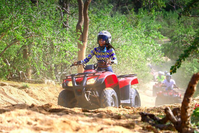Cactus Combo Combine two of your favorite desert tours - What to Expect on the Tour