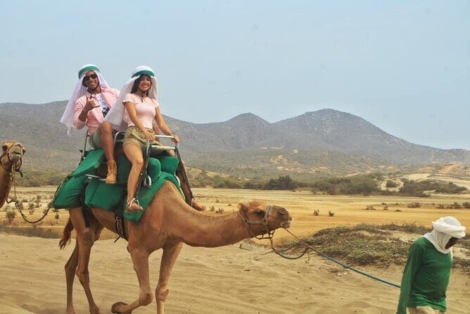 Cactus Combo Combine two of your favorite desert tours - Who Should Book This Tour?