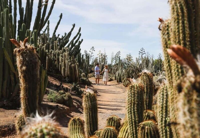 Cactus Country: Entry Ticket - Key Points