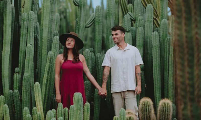 Cactus Country: Entry Ticket - An In-Depth Look at Cactus Country