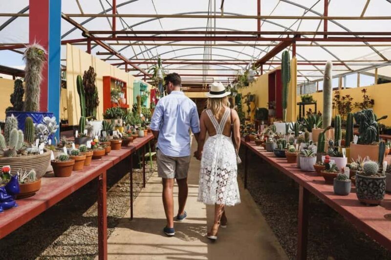 Cactus Country: Entry Ticket - FAQs