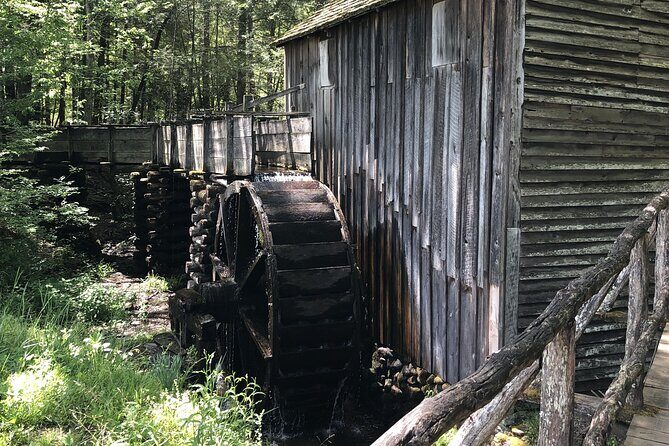 Cades Cove Jeep Tour - Authentic Reviews and Feedback