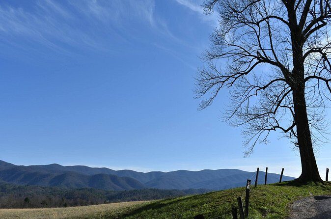 Cades Cove Sightseeing Bus Tour from Pigeon Forge - Who Should Book This Tour?
