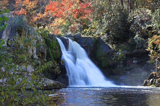 Cades Cove Sightseeing Self-Guided Driving Audio Tour - Final Thoughts
