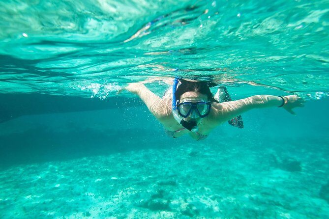 Cades Reef Snorkel Cruise from St. John's Antigua - Key Points