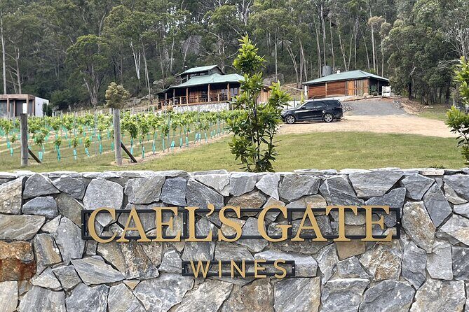 Cael's Gate Wine and Ploughmans Lunch in Hunter Valley - A Look at Caels Gate: A Unique Hunter Valley Stop