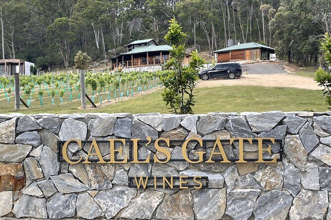 Caels Gate Wine Tasting in Hunter Valley - An In-Depth Look at Caels Gate Wine Tasting in Hunter Valley