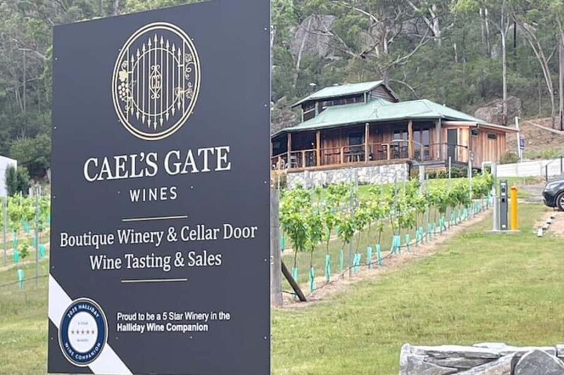 Cael's Gate Wine Tasting with Cheese and Charcuterie Board - An Honest Look at the Cael’s Gate Experience