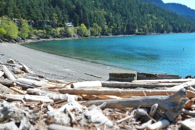 Cafes and Kayaks: Full Day Kayaking Adventure on Orcas Island - An In-Depth Look at the Tour Experience