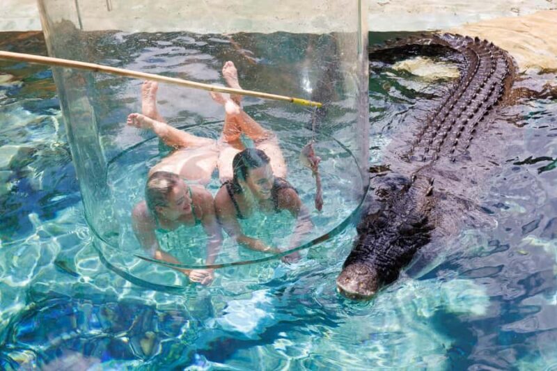 "Cage Of Death" Crocodile Swim and Entry to Crocosaurus Cove - Key Points