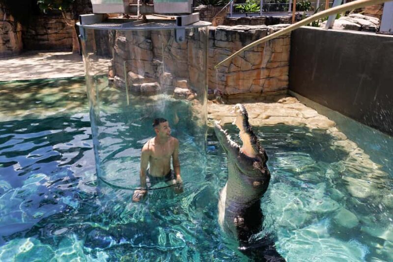 "Cage Of Death" Crocodile Swim and Entry to Crocosaurus Cove - Final Thoughts: Who Will Enjoy This?