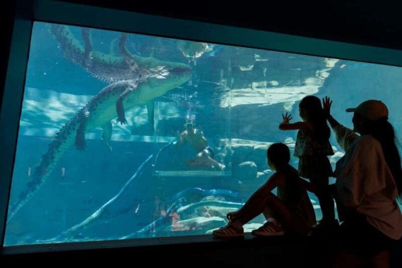 "Cage Of Death" Crocodile Swim and Entry to Crocosaurus Cove - FAQ: Your Questions Answered