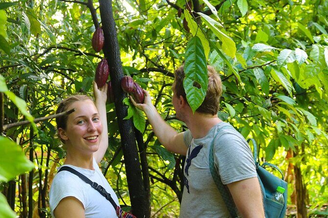 Cai Rang floating market, Cacao & hidden small canal - Practical Details and Value