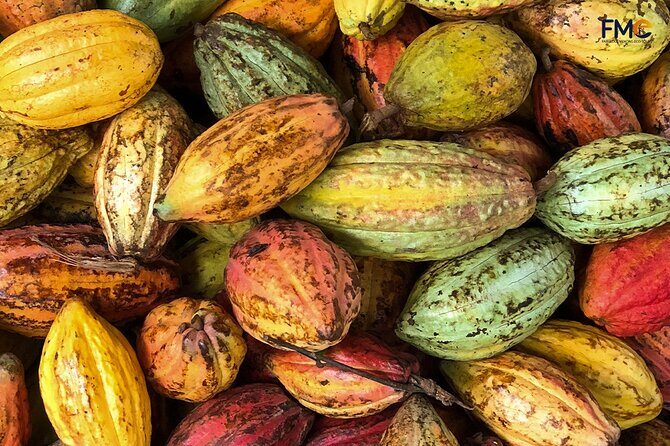 Cai Rang floating market, Cacao & hidden small canal - Who Is This Tour Best For?