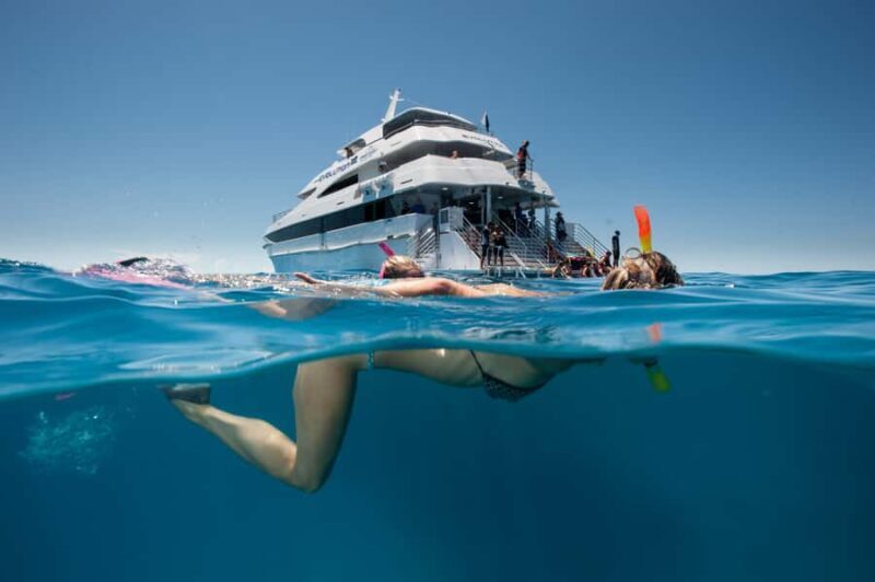Cairns: 2-Day Great Barrier Reef & Daintree Rainforest Tour - The Itinerary Breakdown